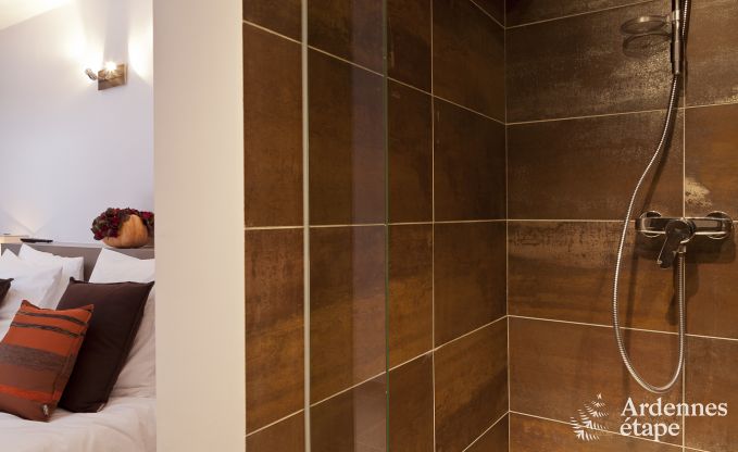 Luxusvilla Remouchamps 10/12 Pers. Ardennen Wellness