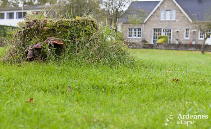 Luxusvilla Remouchamps 10/12 Pers. Ardennen Wellness