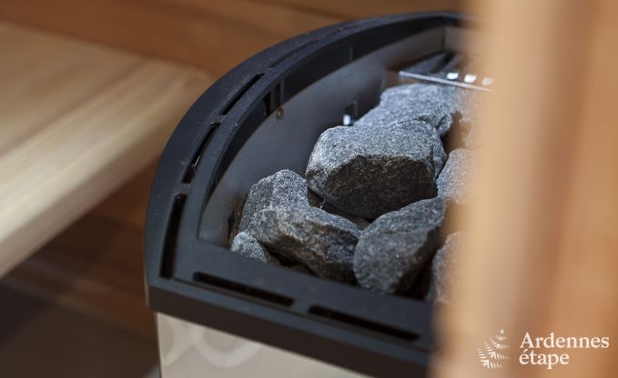 Luxusvilla Remouchamps 10/12 Pers. Ardennen Wellness