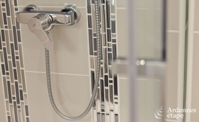 Luxusvilla Remouchamps 4 Pers. Ardennen Wellness