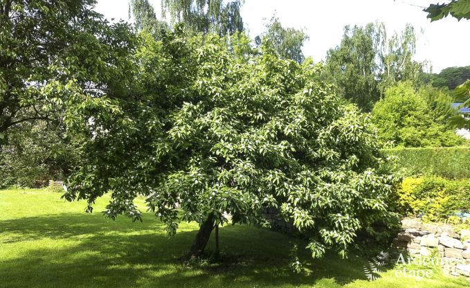 Luxusvilla Remouchamps 4 Pers. Ardennen Wellness