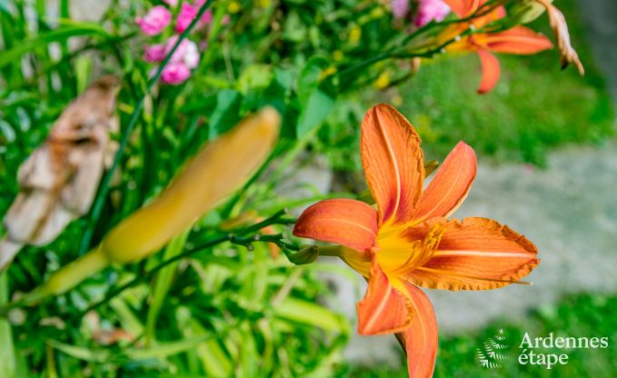 Ferienhaus in Rendeux, Ardennen, 6 Personen, 2 Schlafzimmer, privater Garten, Babyausstattung, Terrasse mit Grill