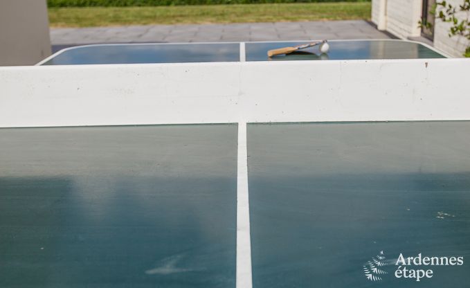 Ferienhaus Rendeux 10 Pers. Ardennen Wellness