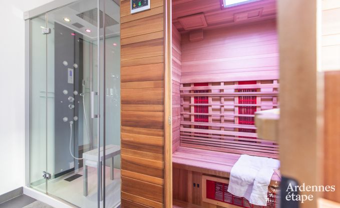 Ferienhaus Rendeux 10 Pers. Ardennen Wellness