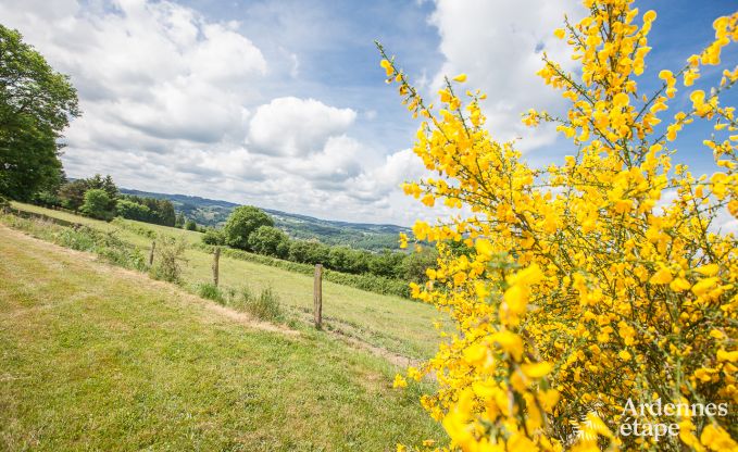 Ferienhaus Rendeux 10 Pers. Ardennen Wellness