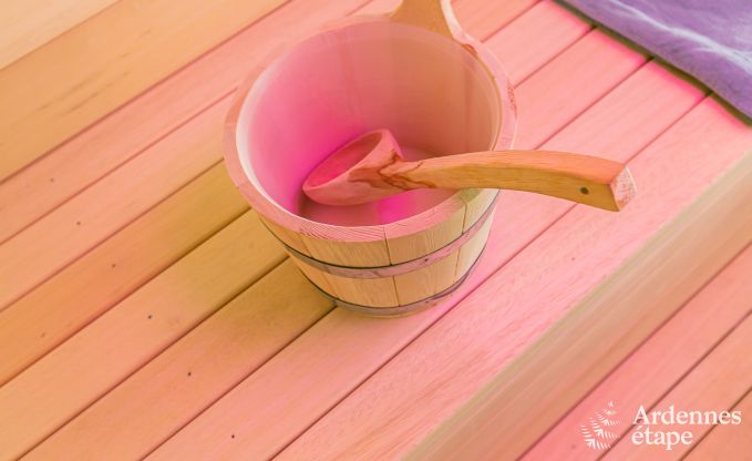 Ferienhaus Rendeux 9 Pers. Ardennen Wellness