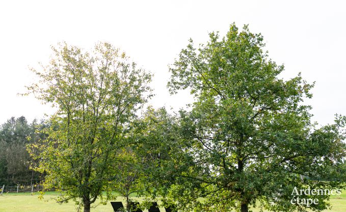 Ferienhaus Rendeux 9 Pers. Ardennen Wellness