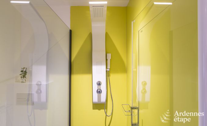 Luxusvilla Rendeux 8 Pers. Ardennen Wellness