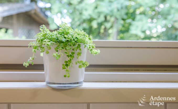 Ferienhaus Robertville 6 Pers. Ardennen Behinderten gerecht