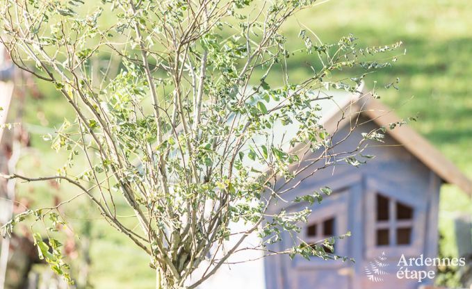 Ferienhaus Robertville 9 Pers. Ardennen Wellness