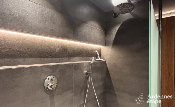 Ferienhaus Robertville 10 Personen Ardennen Wellness