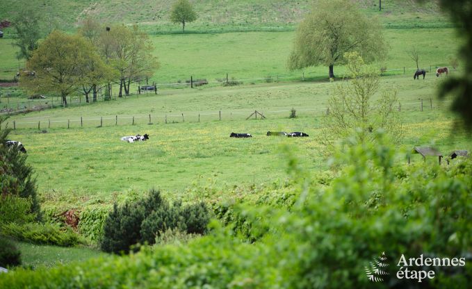 Gem�tliches Familienchalet in Rochefort, Ardennen