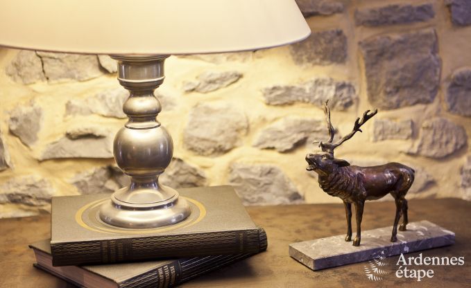 Cottage Rochefort 15 Pers. Ardennen