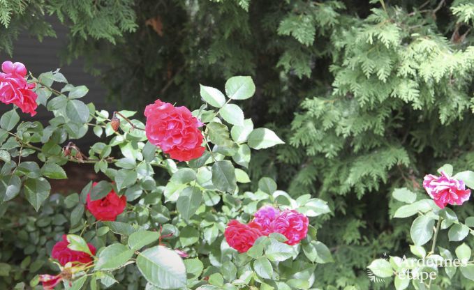 Ferienhaus Rochefort 7 Pers. Ardennen