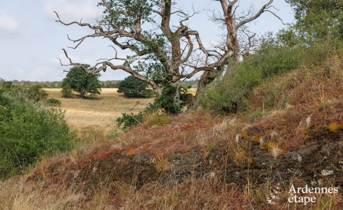 Ferienhaus Rochefort 6 Pers. Ardennen