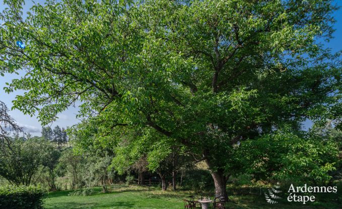 Ferienhaus Rochefort 6 Pers. Ardennen
