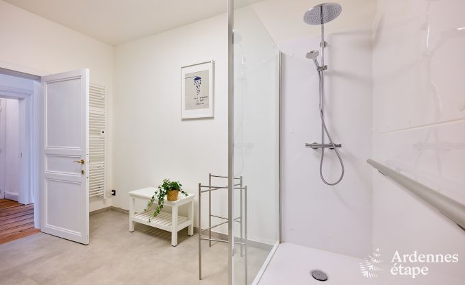 Sehr gepflegtes und charmantes Ferienhaus f�r 8 Personen in Tellin, nahe Rochefort