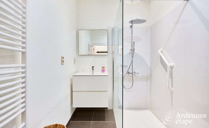 Sehr gepflegtes und charmantes Ferienhaus f�r 8 Personen in Tellin, nahe Rochefort