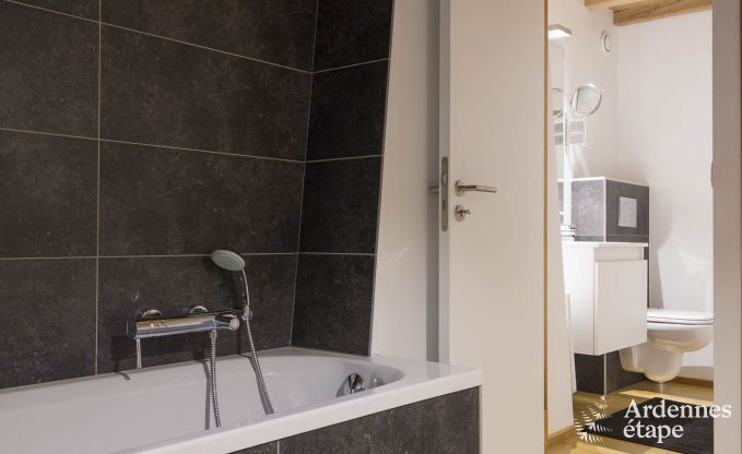 Ferienhaus Rochefort 14 Pers. Ardennen Wellness