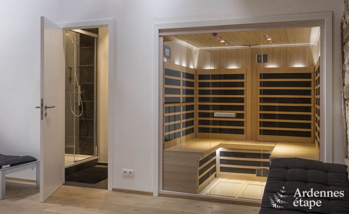 Ferienhaus Rochefort 14 Pers. Ardennen Wellness