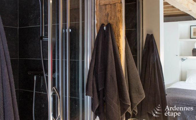 Ferienhaus Rochefort 14 Pers. Ardennen Wellness