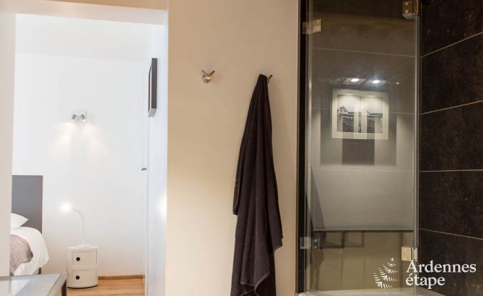 Ferienhaus Rochefort 14 Pers. Ardennen Wellness