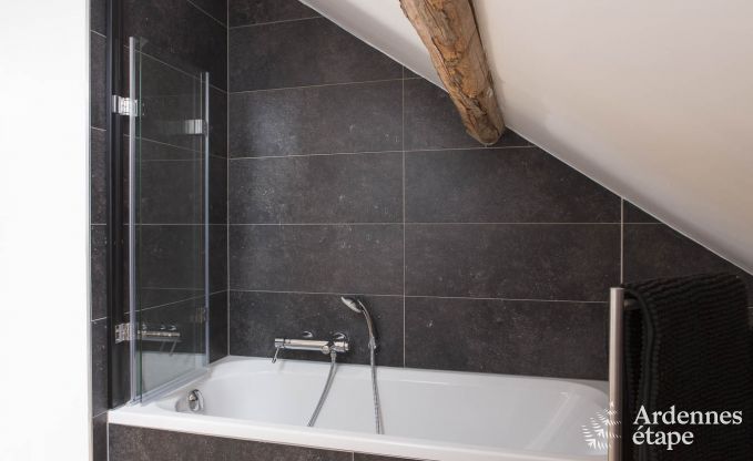 Ferienhaus Rochefort 14 Pers. Ardennen Wellness