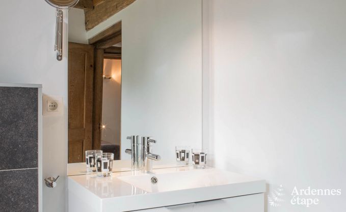 Ferienhaus Rochefort 14 Pers. Ardennen Wellness