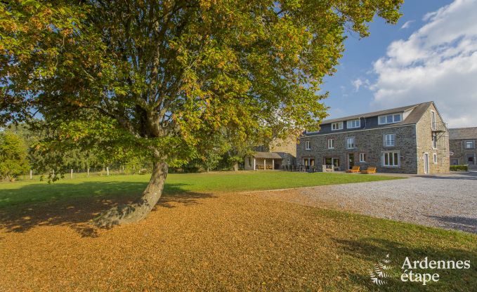 Ger�umiges Ferienhaus in Rochefort in den Ardennen f�r 24 Personen mit Sauna, Spielzimmer und privatem Garten