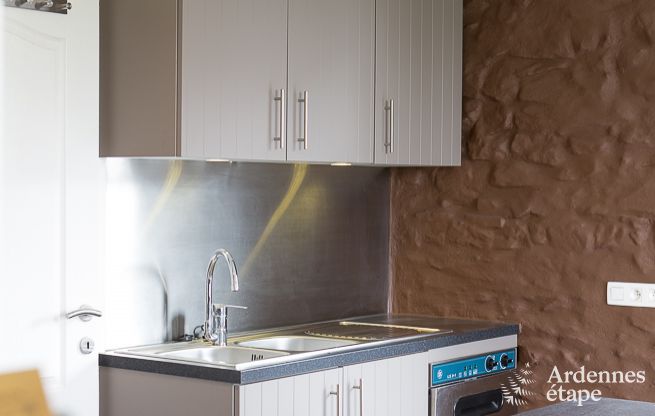 Ger�umiges Ferienhaus in Rochefort in den Ardennen f�r 24 Personen mit Sauna, Spielzimmer und privatem Garten