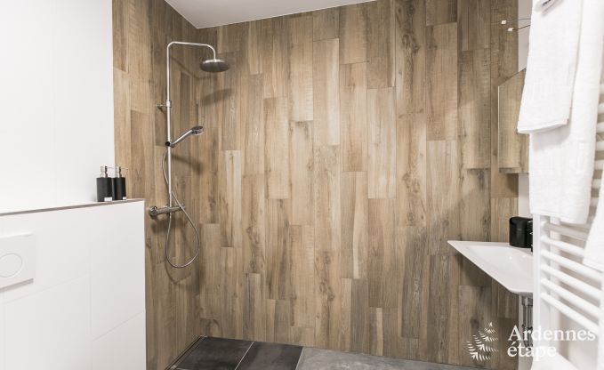 Ferienhaus Rochefort 10 Pers. Ardennen Wellness