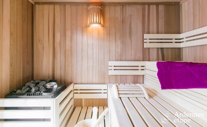 Ferienhaus Rochefort 10 Pers. Ardennen Wellness