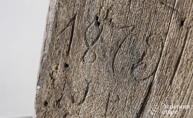 Ferienhaus Rochefort 10 Pers. Ardennen Wellness