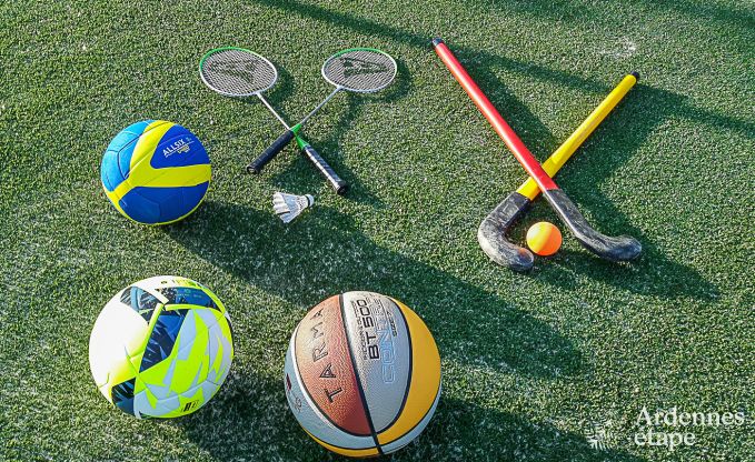 Ferienhaus Rochefort 10 Pers. Ardennen Wellness