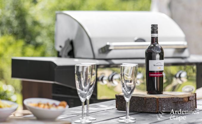 Ferienhaus Rochefort 10 Pers. Ardennen Wellness