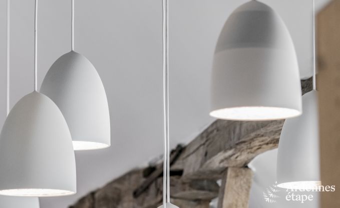 Ferienhaus Rochefort 10 Pers. Ardennen Wellness