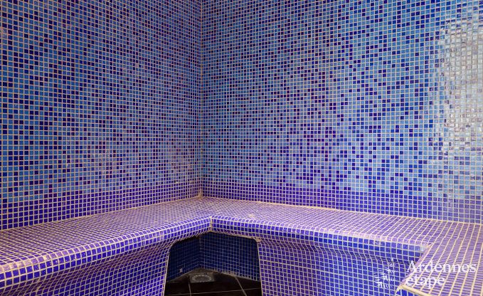 Luxusvilla Rochefort 48 Pers. Ardennen Schwimmbad Wellness Behinderten gerecht
