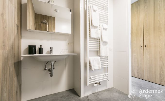 Luxusvilla Rochefort 16 Pers. Ardennen Wellness