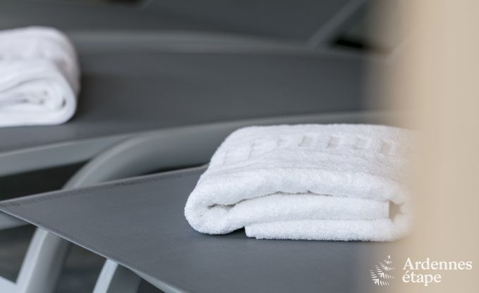 Luxusvilla Rochefort 16 Pers. Ardennen Wellness