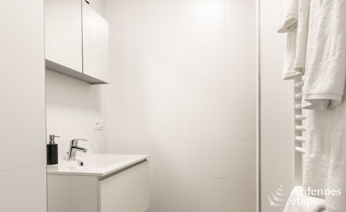 Luxusvilla Rochefort 16 Pers. Ardennen Wellness