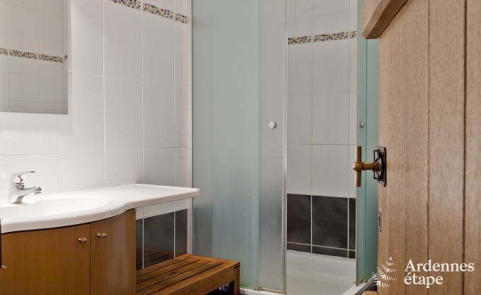 Schloss Rochefort 18 Pers. Ardennen