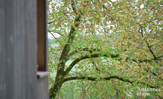 Gem�tliches Familienchalet in Rochefort, Ardennen