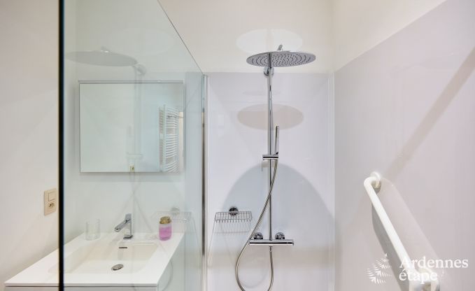 Sehr gepflegtes und charmantes Ferienhaus fr 8 Personen in Tellin, nahe Rochefort