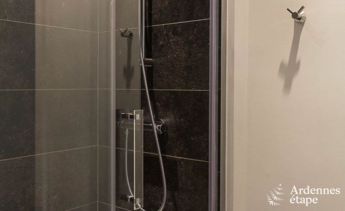 Ferienhaus Rochefort 14 Pers. Ardennen Wellness