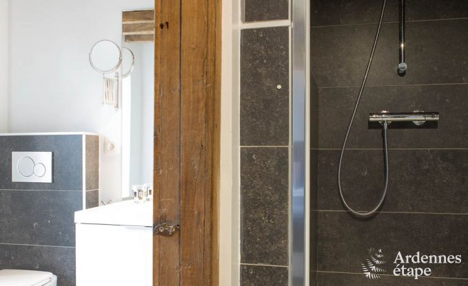 Ferienhaus Rochefort 14 Pers. Ardennen Wellness