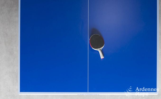 Ferienhaus Rochefort 14 Pers. Ardennen Wellness