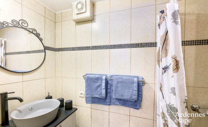 Ferienhaus Rochefort 12 Pers. Ardennen Wellness