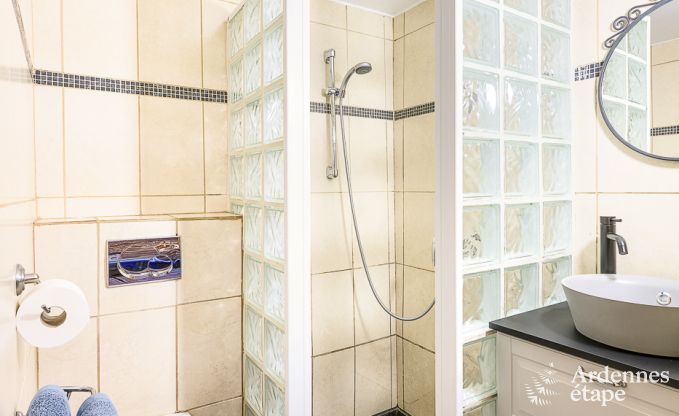 Ferienhaus Rochefort 12 Pers. Ardennen Wellness