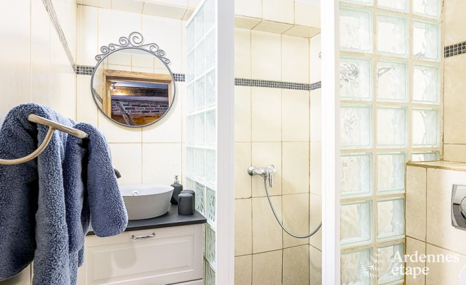 Ferienhaus Rochefort 12 Pers. Ardennen Wellness