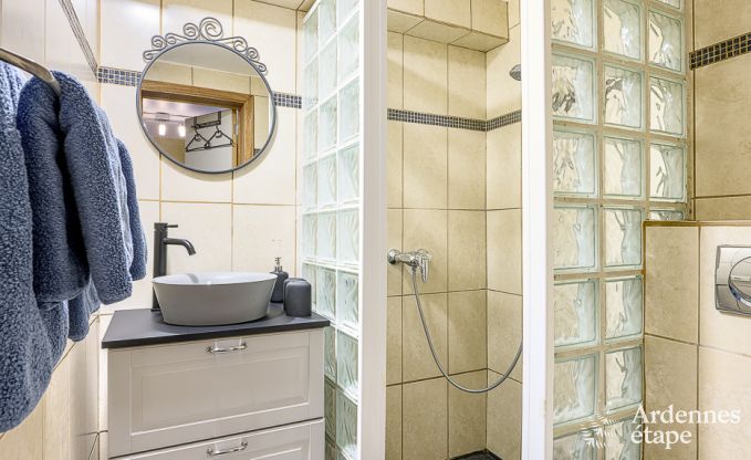 Ferienhaus Rochefort 12 Pers. Ardennen Wellness